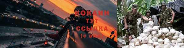 гидра Алексин