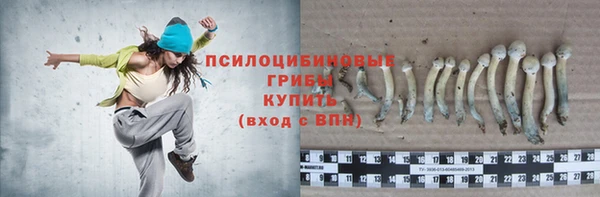 гидра Алексин