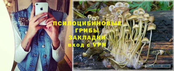 герыч Алзамай