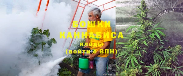 гидра Алексин