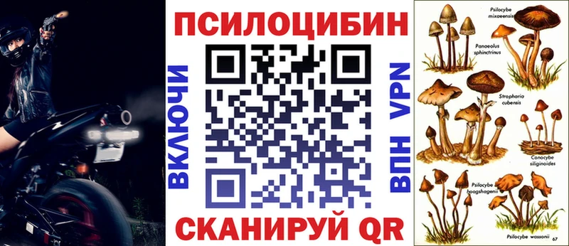 сколько стоит  Темрюк  kraken   Псилоцибиновые грибы мицелий 