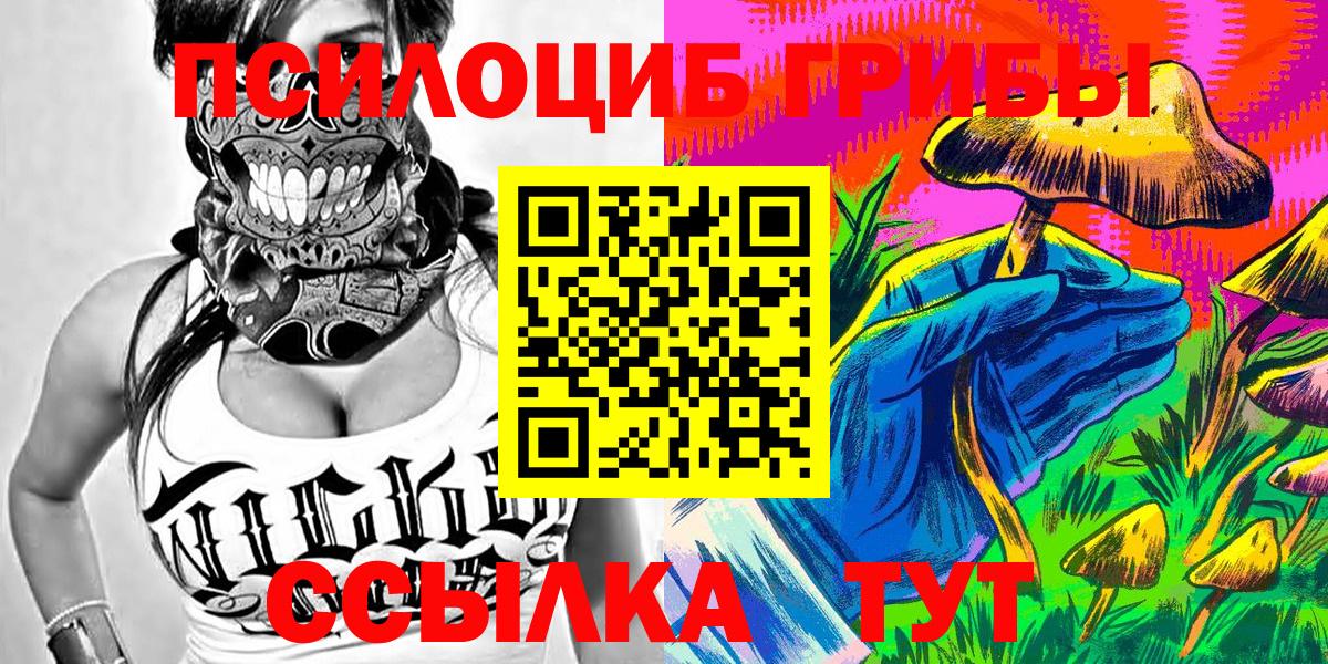 Псилоцибиновые грибы Psilocybe Темрюк