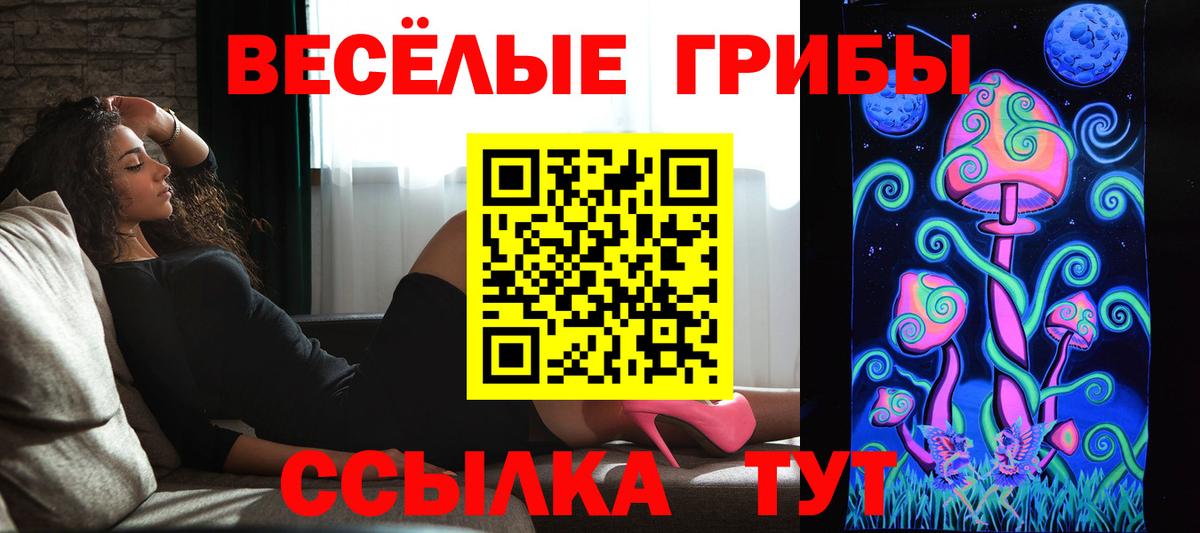 Псилоцибиновые грибы Psilocybe  Вход с VPN  купить  сайты  Галлюциногенные грибы GOLDEN TEACHER  Темрюк 